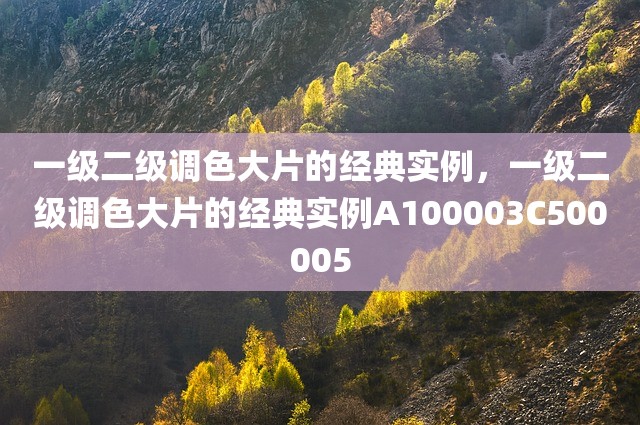 一级二级调色大片的经典实例，一级二级调色大片的经典实例A100003C500005