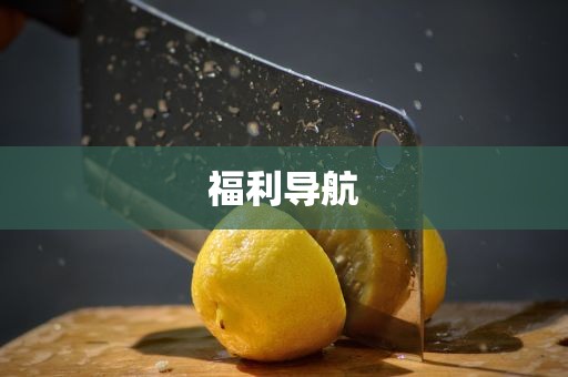 福利导航