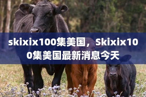 skixix100集美国，Skixix100集美国最新消息今天