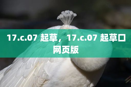 17.c.07 起草，17.c.07 起草口网页版