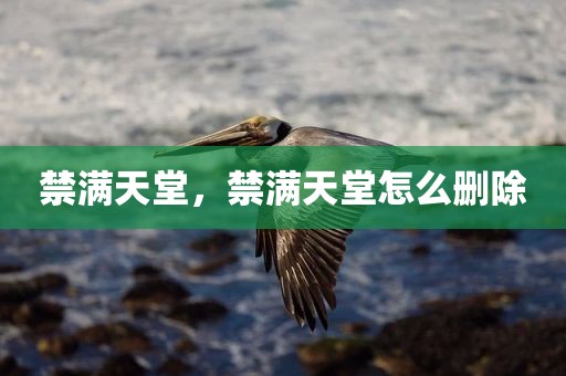 禁满天堂，禁满天堂怎么删除