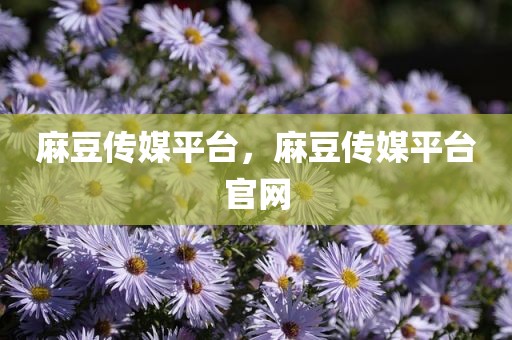 麻豆传媒平台，麻豆传媒平台官网