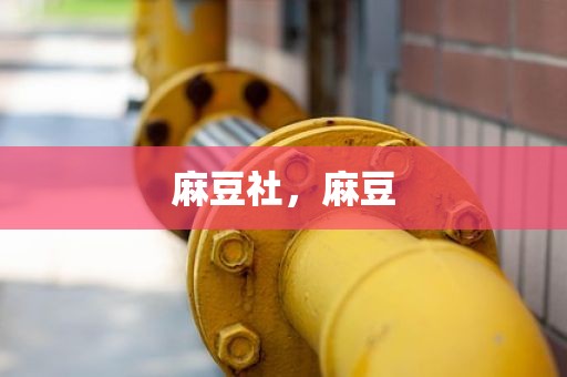 麻豆社，麻豆