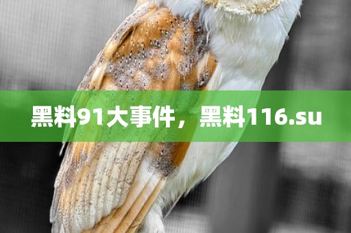 黑料91大事件，黑料116.su