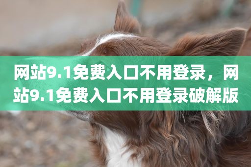网站9.1免费入口不用登录，网站9.1免费入口不用登录破解版