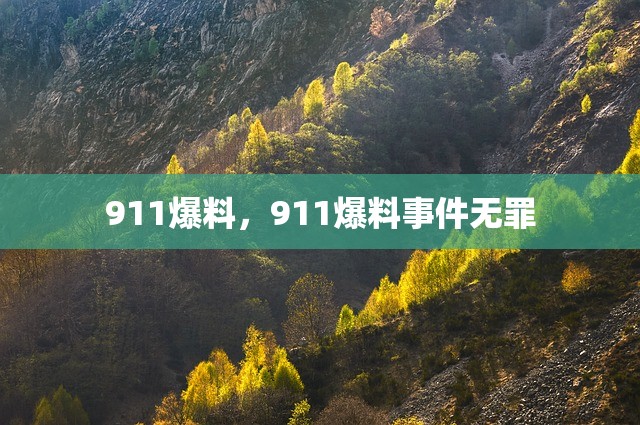 911爆料，911爆料事件无罪