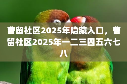 曹留社区2025年隐藏入口，曹留社区2025年一二三四五六七八