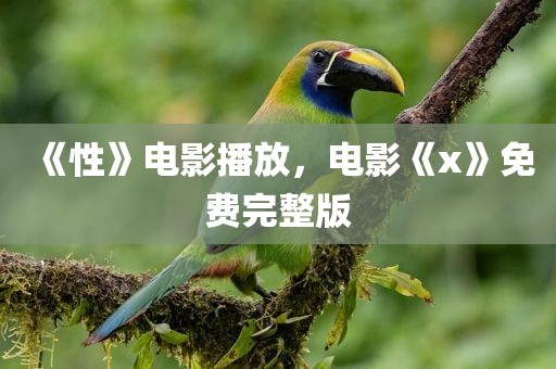 《性》电影播放，电影《x》免费完整版