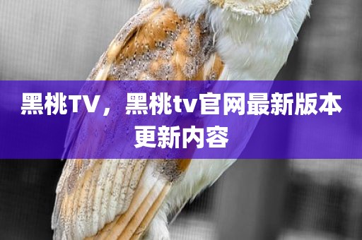 黑桃TV，黑桃tv官网最新版本更新内容