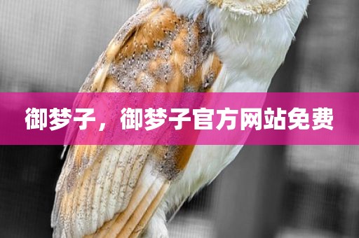 御梦子，御梦子官方网站免费