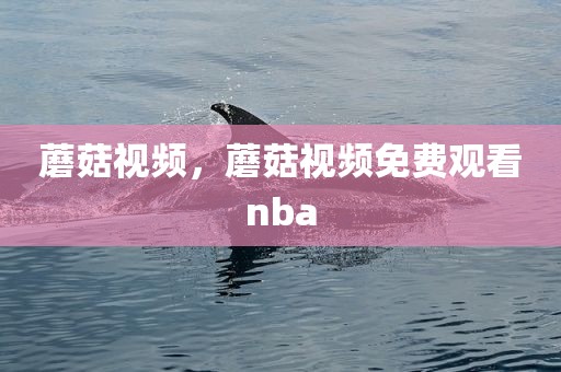 蘑菇视频，蘑菇视频免费观看nba