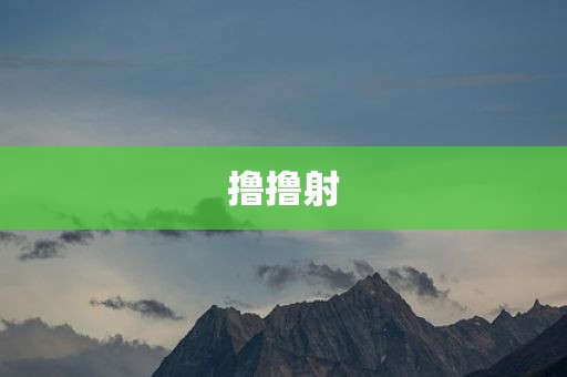 撸撸射