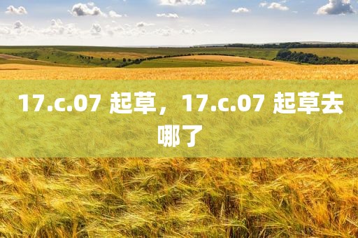 17.c.07 起草，17.c.07 起草去哪了