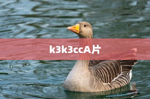 k3k3ccA片