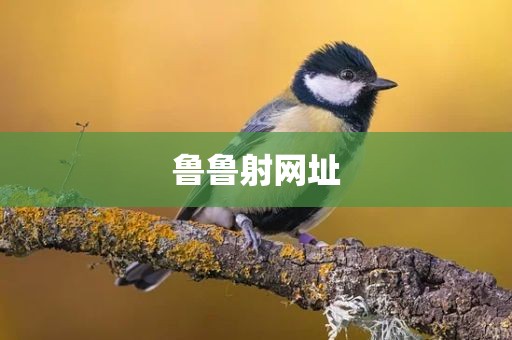 鲁鲁射网址