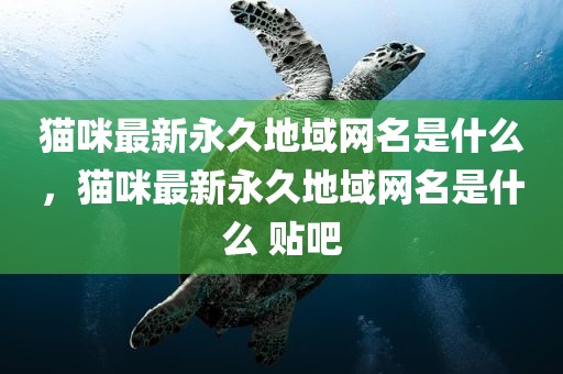 猫咪最新永久地域网名是什么，猫咪最新永久地域网名是什么 贴吧