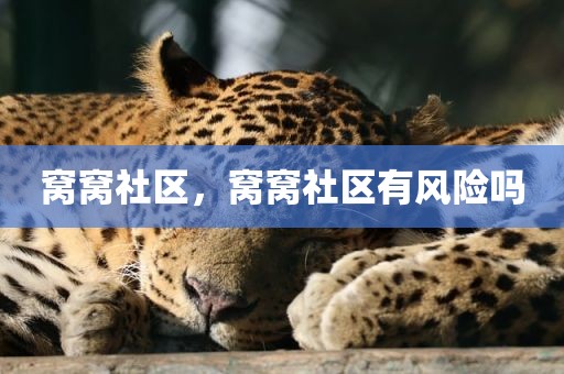 窝窝社区，窝窝社区有风险吗
