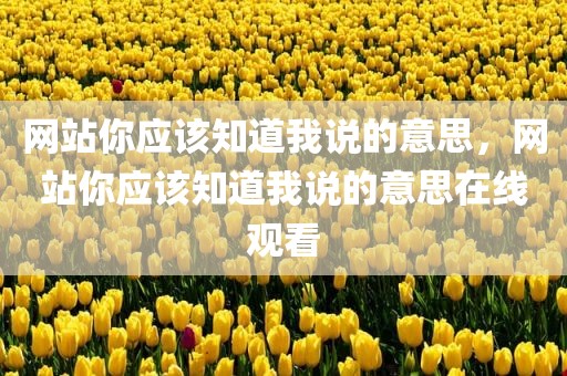 网站你应该知道我说的意思，网站你应该知道我说的意思在线观看