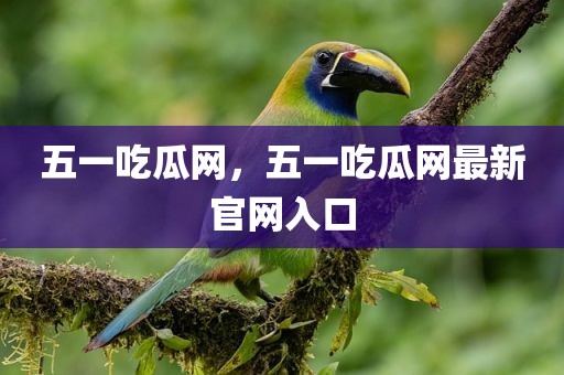 五一吃瓜网，五一吃瓜网最新官网入口