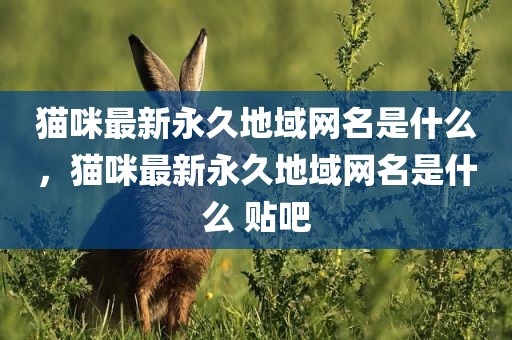 猫咪最新永久地域网名是什么，猫咪最新永久地域网名是什么 贴吧