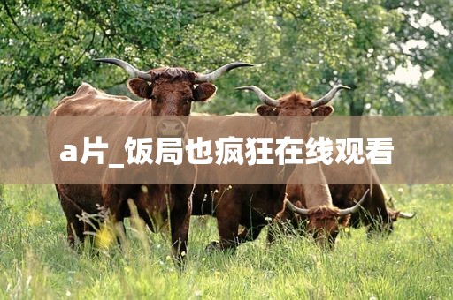 a片_饭局也疯狂在线观看