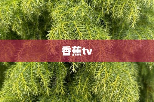 香蕉tv