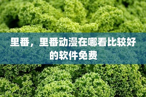 里番，里番动漫在哪看比较好的软件免费