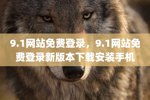 9.1网站免费登录，9.1网站免费登录新版本下载安装手机