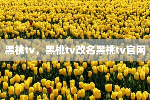 黑桃tv，黑桃tv改名黑桃tv官网
