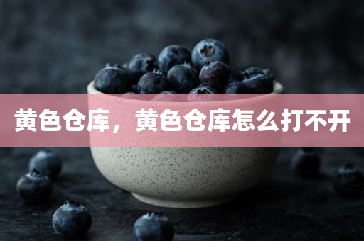 黄色仓库，黄色仓库怎么打不开