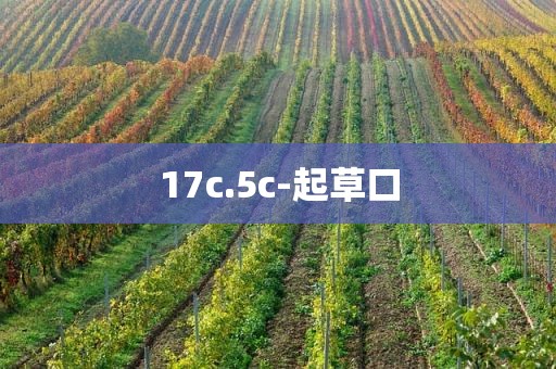 17c.5c-起草口