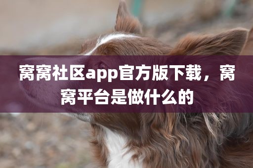 窝窝社区app官方版下载，窝窝平台是做什么的