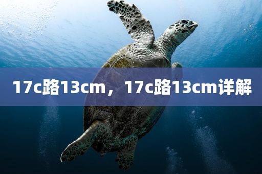 17c路13cm，17c路13cm详解