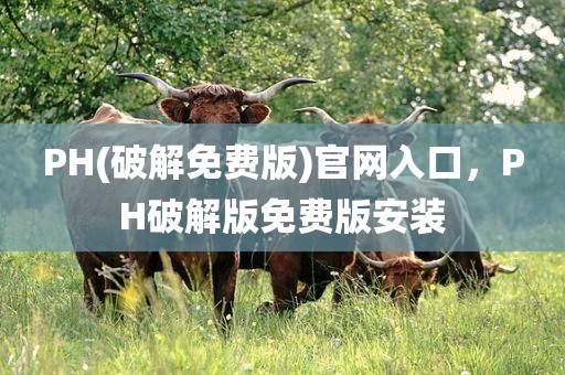 PH(破解免费版)官网入口，PH破解版免费版安装