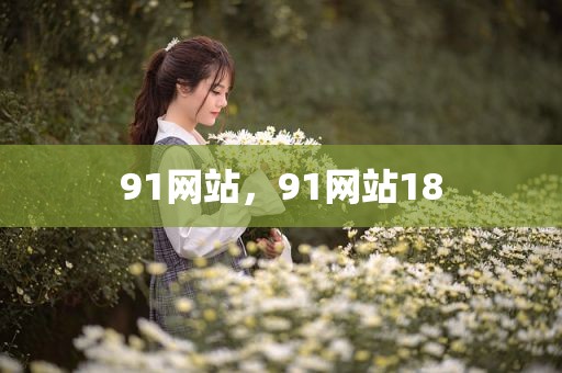 91网站，91网站18
