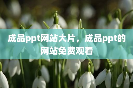 成品ppt网站大片，成品ppt的网站免费观看