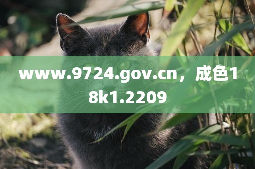 www.9724.gov.cn，成色18k1.2209