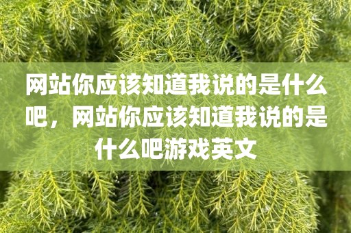 网站你应该知道我说的是什么吧，网站你应该知道我说的是什么吧游戏英文