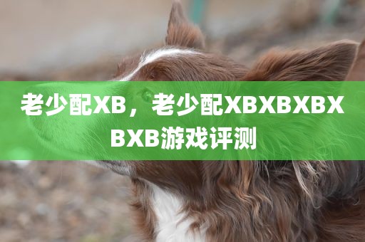 老少配XB，老少配XBXBXBXBXB游戏评测