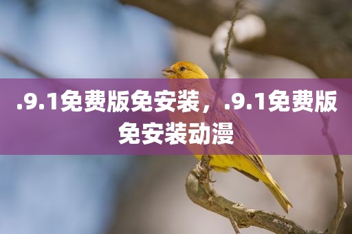 .9.1免费版免安装，.9.1免费版免安装动漫