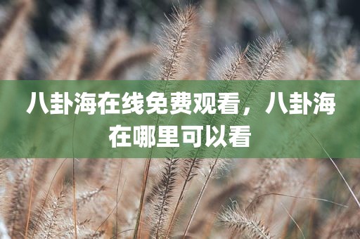 八卦海在线免费观看，八卦海在哪里可以看