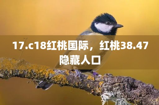 17.c18红桃国际，红桃38.47隐藏人口