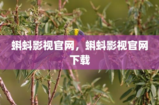 蝌蚪影视官网，蝌蚪影视官网下载