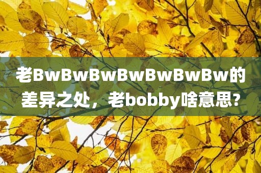 老BwBwBwBwBwBwBw的差异之处，老bobby啥意思?