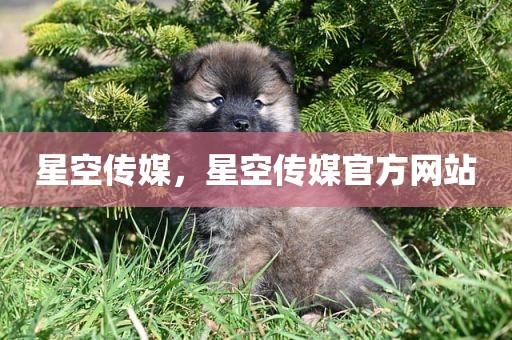 星空传媒，星空传媒官方网站