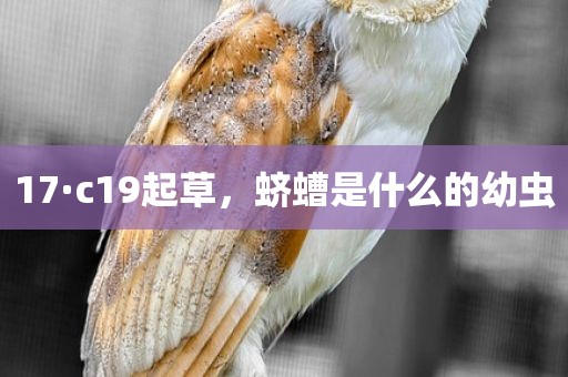 17·c19起草，蛴螬是什么的幼虫