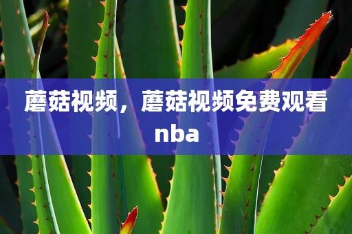 蘑菇视频，蘑菇视频免费观看nba