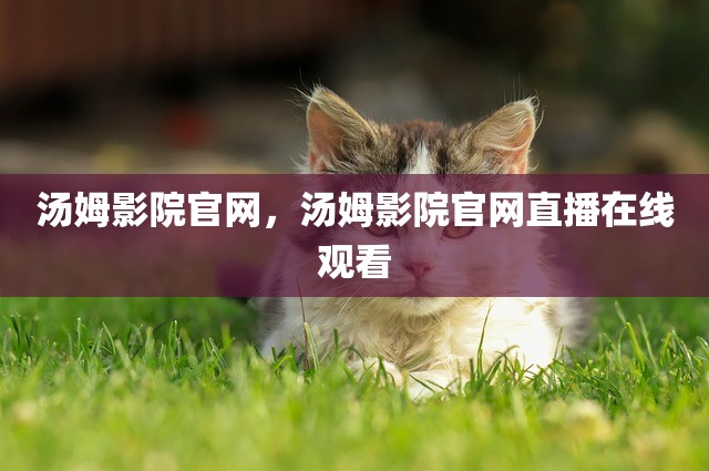 汤姆影院官网，汤姆影院官网直播在线观看