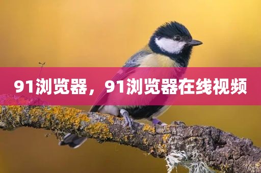 91浏览器，91浏览器在线视频