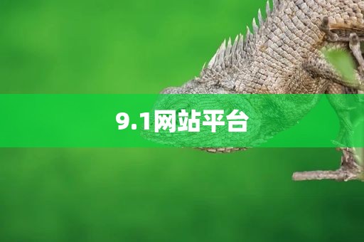 9.1网站平台